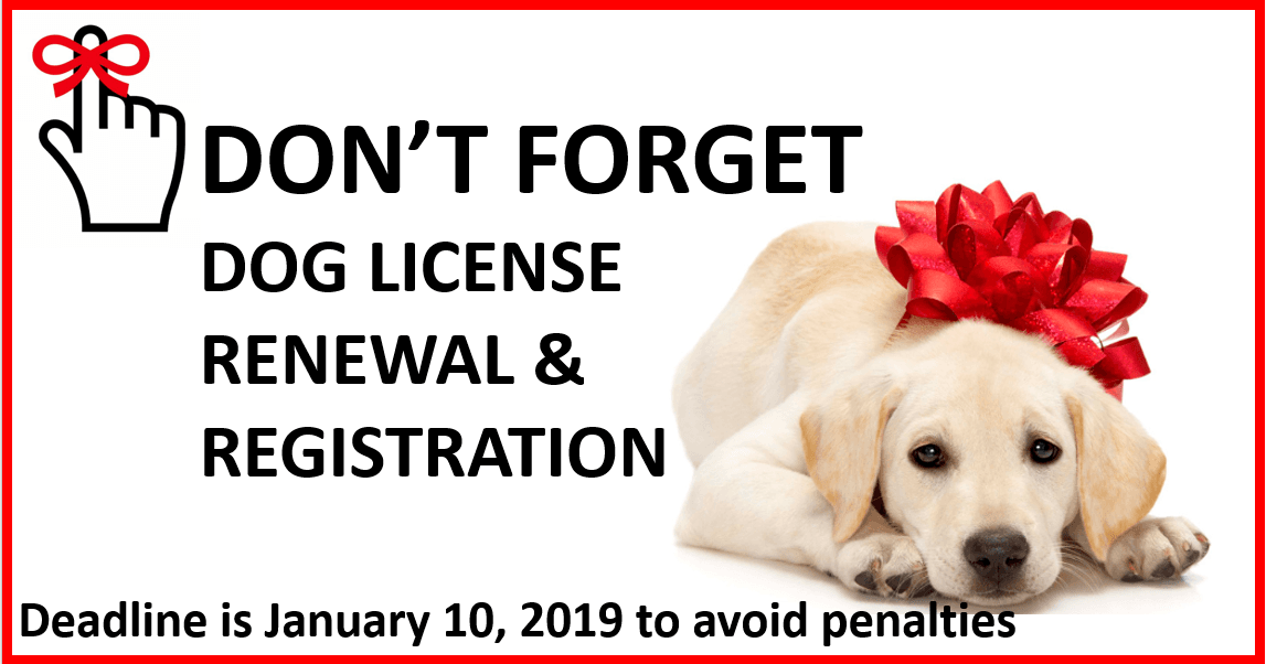 LICENSE YOUR DOG