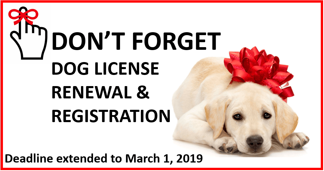 LICENSE YOUR DOG DEADLINE EXTENDED
