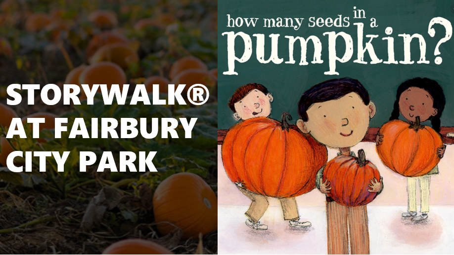 STORYWALK NOVEMBER 2019 HOW MANY SEEDS IN A  PUMPKIN