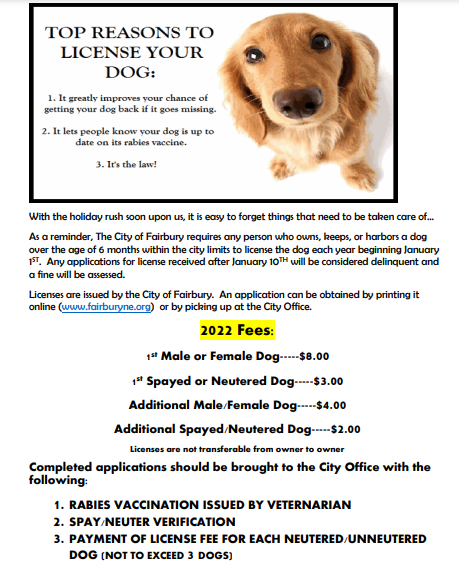 10-12-21 LICENSE YOUR DOG IMAGE